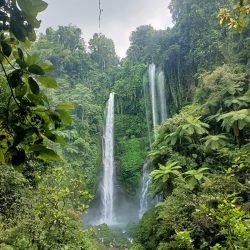 WhatsApp Image 2026-04-06 at 11.47.37 AM