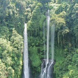 WhatsApp Image 2026-04-06 at 11.47.38 AM